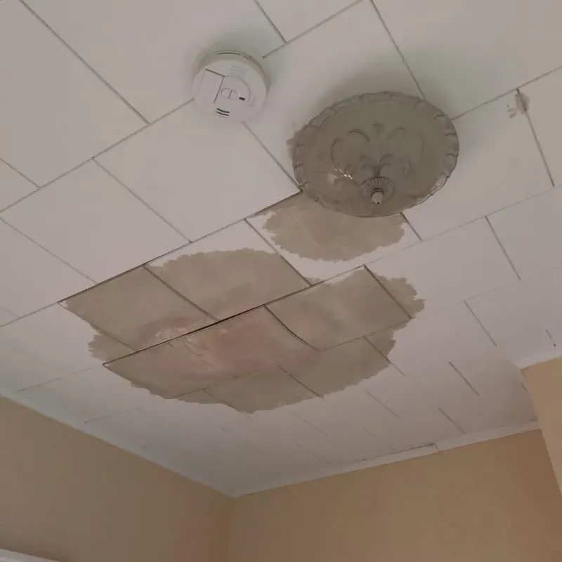 Ceiling Water Damage Repair in Stanleytown, VA