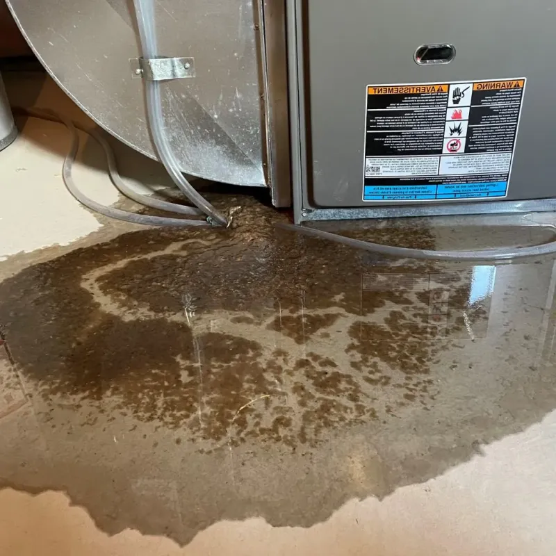 Pipe Burst and Leak Restoration in Stanleytown, VA