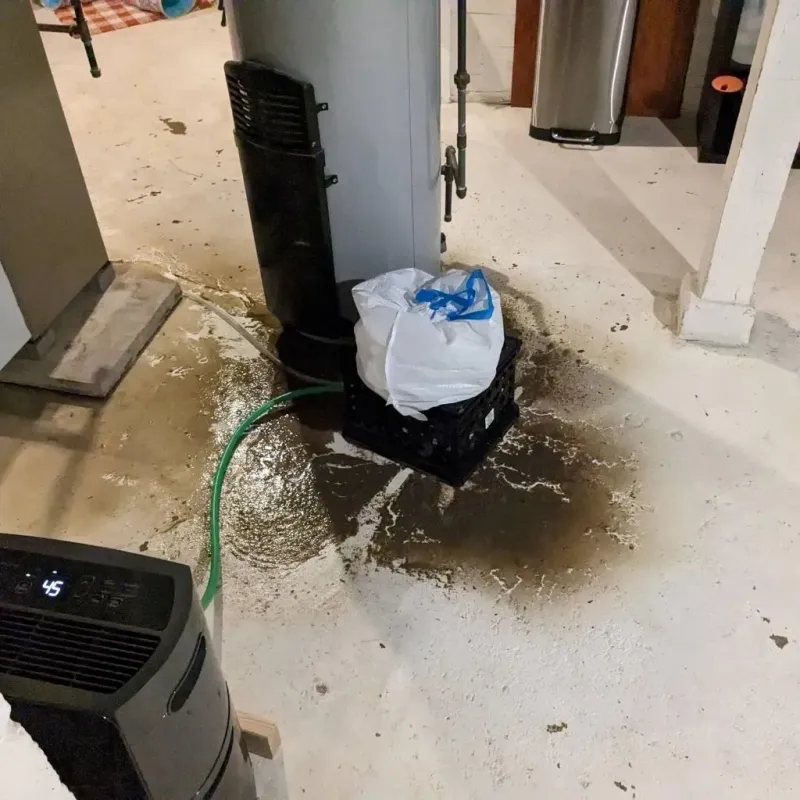 Sewage Backup Cleanup Service in Stanleytown, VA